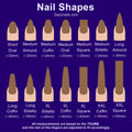 Chart showing different nail shapes and lengths for press-on nails, including oval, almond, coffin, stiletto, and square tips with measurements.