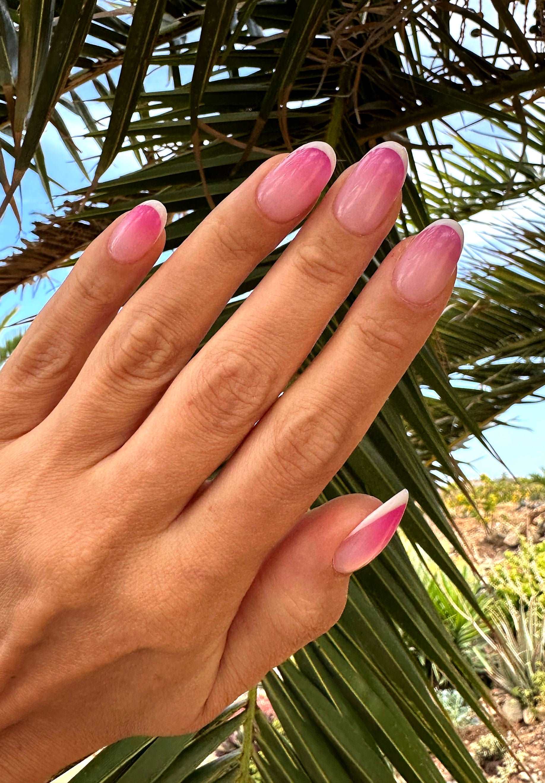 Ombre Pink White French Tips Summer Press on Nails